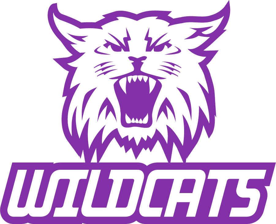 Weber State Wildcats 2008-2012 Secondary Logo v2 diy DTF decal sticker